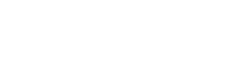 SPIN Insurance Agency - Logo 800 White